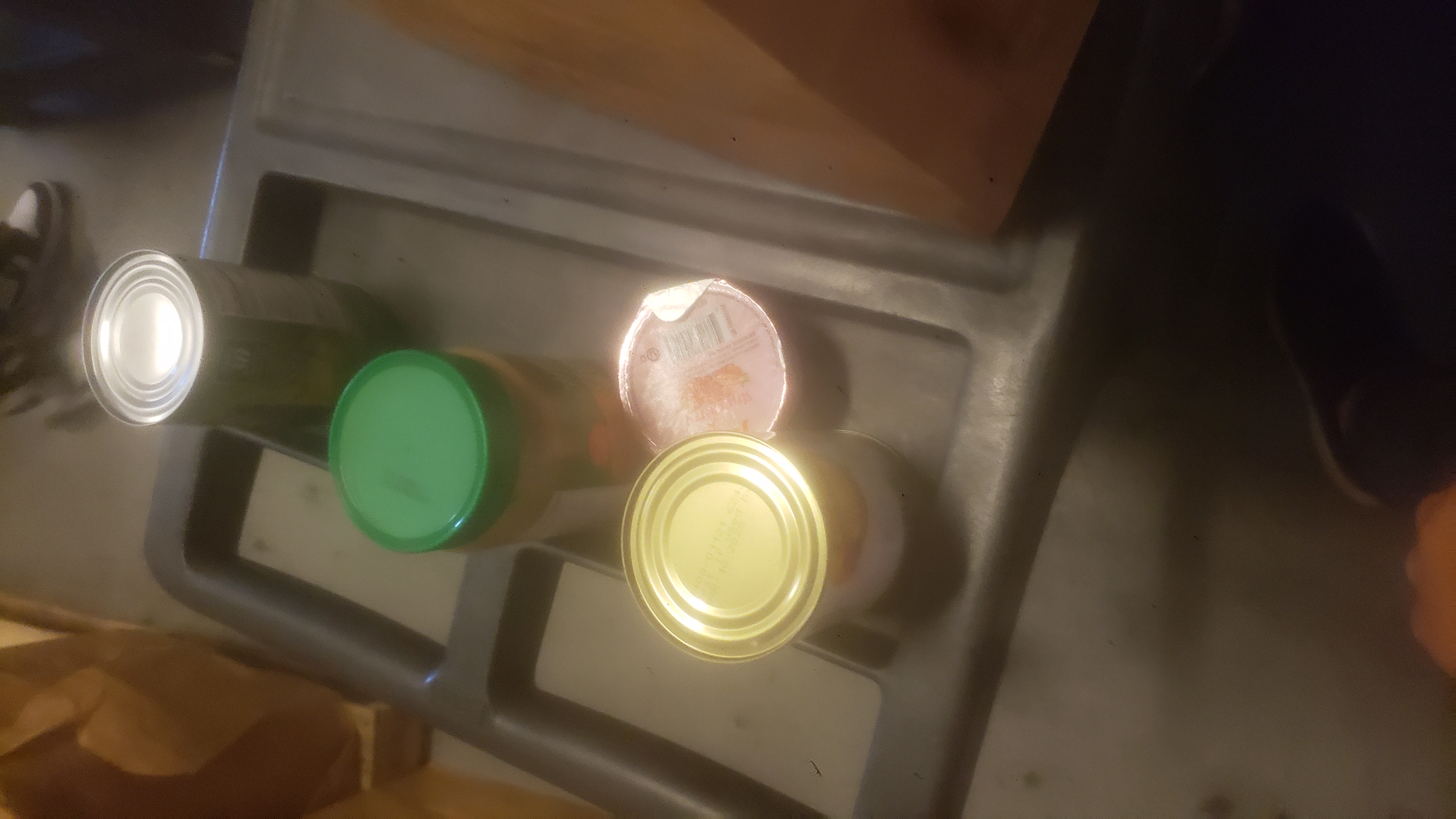 Prickly pear cactus.